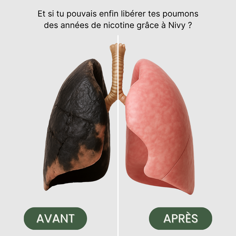 Nivy - Le Clenzy
